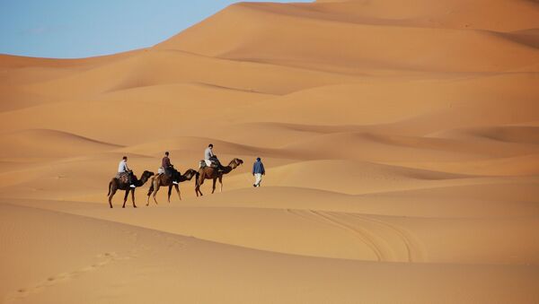 Dunes de sable - Sputnik Afrique