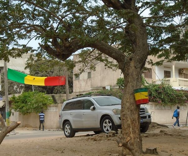 Le Sénégal dans l’effervescence de la finale de la CAN 2019 - Sputnik Afrique