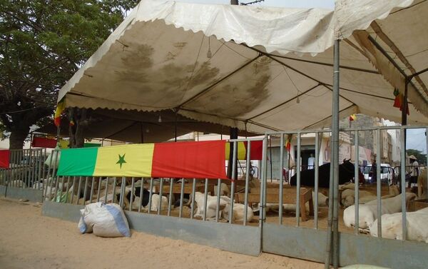 Un enclos à moutons affichant un drapeau du Sénégal à Dakar, le vendredi 19 juillet 2019, avant le coup d’envoi du match Sénégal-Algérie, finale de la CAN. - Sputnik Afrique