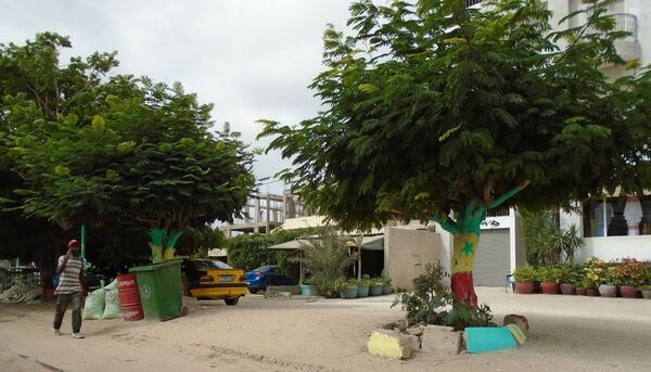 Le Sénégal dans l’effervescence de la finale de la CAN 2019 - Sputnik Afrique