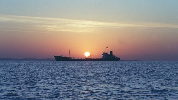 An Iranian water storage tanker sails off the coast of Qeshm Island 14 February 2001 in the Strait of Hormuz - Sputnik Afrique