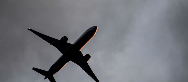 Un Boeing  - Sputnik Afrique