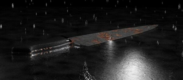 Couteau Couteau - Sputnik Afrique