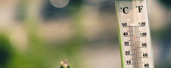 Un thermomètre - Sputnik Afrique