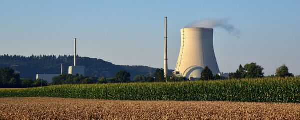 Un réacteur nucléaire (image d'illustration) - Sputnik Afrique