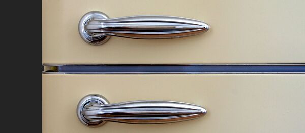 Un frigo, image d'illustration Un frigo, image d'illustration - Sputnik Afrique