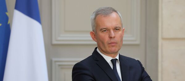  Francois de Rugy - Sputnik Afrique