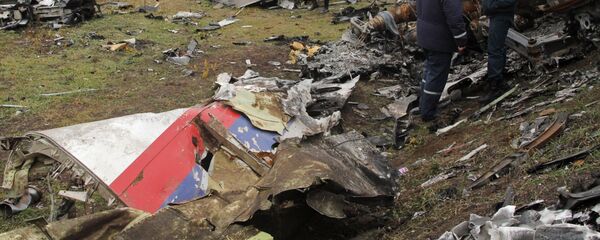 Lieu du crash du vol MH17 abattu en Ukraine - Sputnik Afrique