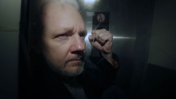 Julien Assange - Sputnik Afrique