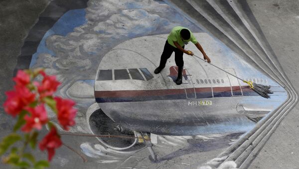 Disparition d'un avion de la Malaysia Airlines - Sputnik Afrique