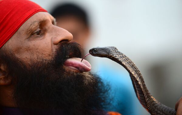 Hindou avec un serpent pendant le mois sacré de shraavana. - Sputnik Afrique
