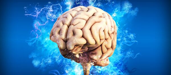 Le cerveau Le cerveau - Sputnik Afrique