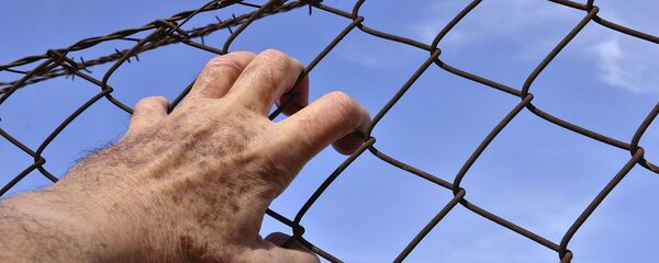 Un fil barbelé - Sputnik Afrique