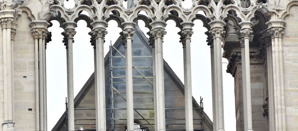 Notre-Dame après l'incendie - Sputnik Afrique