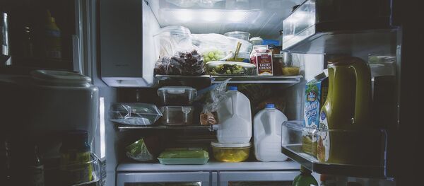 un frigo - Sputnik Afrique