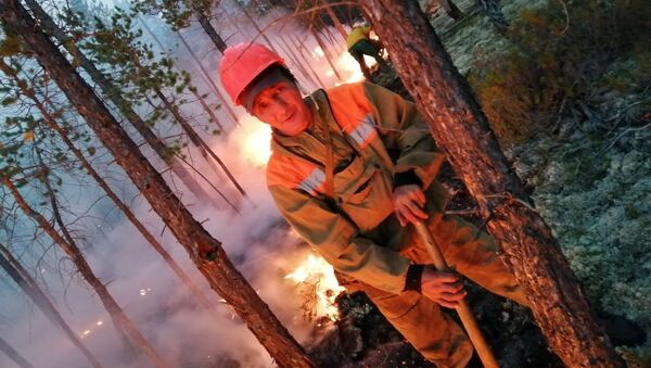 Écran de fumée: extinction des feux de forêt en Iakoutie  - Sputnik Afrique