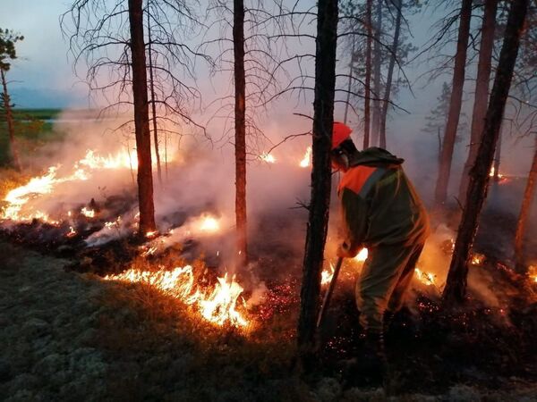 Employés du ministère iakoute de la Protection de l’environnement en train d’éteindre les feux de forêt en Iakoutie  - Sputnik Afrique