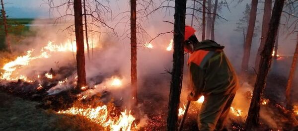 Feux de forêts en Sibérie - Sputnik Afrique