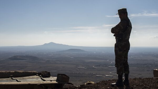 Un militaire syrien dans le gouvernorat de Quneitra - Sputnik Afrique