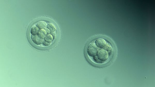 Embryon de lapin - Sputnik Afrique