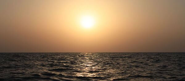 Golfe Persique - Sputnik Afrique