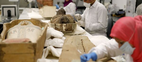 L'Égypte présente un sarcophage de Toutânkhamon en restauration - Sputnik Afrique