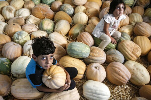 Enfants palestiniens avec la citrouille récoltée à Beit Lahia, au nord de la bande de Gaza - Sputnik Afrique