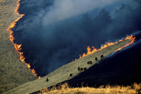 Des sapeurs-pompiers éteignant un feu de forêt près de Brentwood, dans le comté de Contra Costa, en Californie - Sputnik Afrique