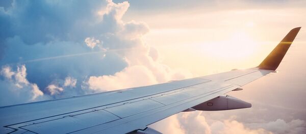 Крыло самолёта Крыло самолёта - Sputnik Afrique