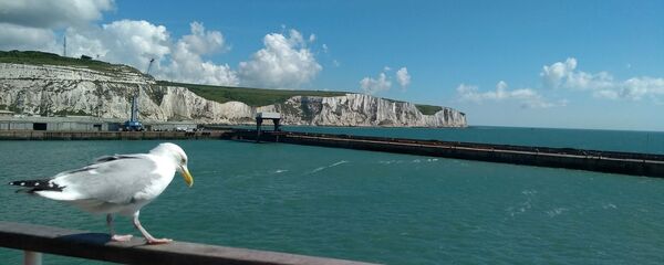 La Manche La Manche - Sputnik Afrique