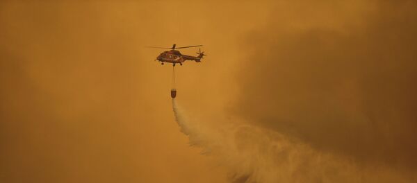 l'île grecque d'Eubée en proie aux flammes, 13 août 2019 - Sputnik Afrique