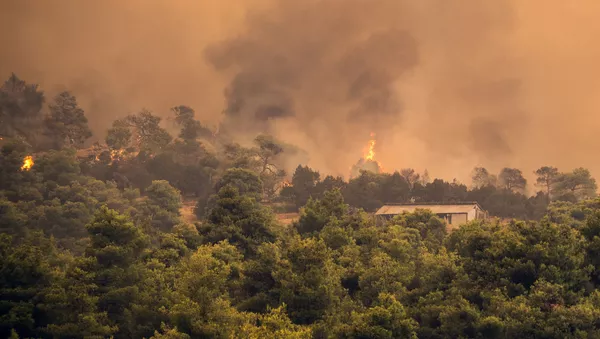 Incendies sur l'île grecque d'Eubée - Sputnik Afrique