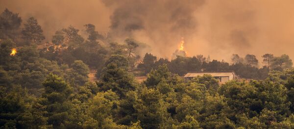 Incendies sur l'île grecque d'Eubée - Sputnik Afrique