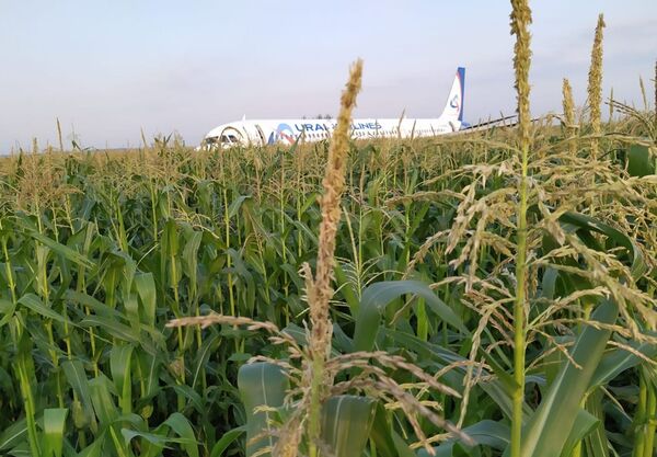 Atterrissage d’urgence d’un avion de ligne dans la banlieue de Moscou
 - Sputnik Afrique