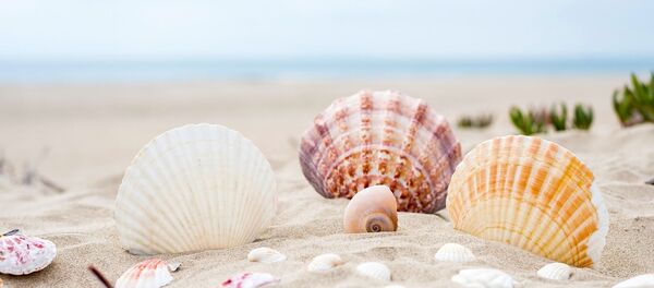 Une plage  - Sputnik Afrique