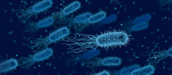 Бактерия - Sputnik Afrique