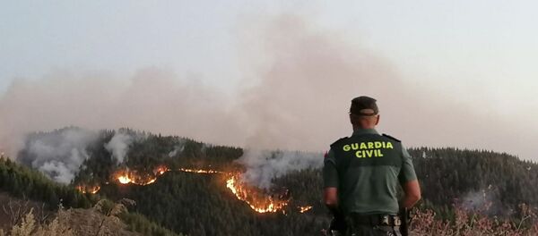 Les incendies sur les îles Canaries - Sputnik Afrique