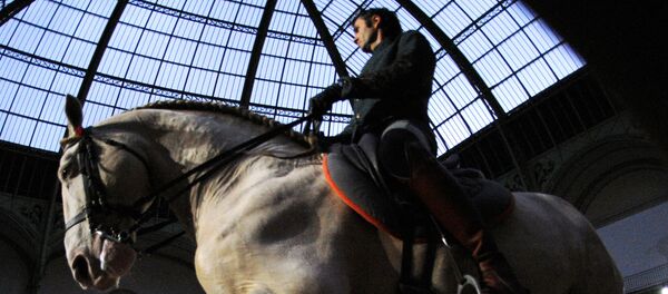 Un spectacle equestre  - Sputnik Afrique