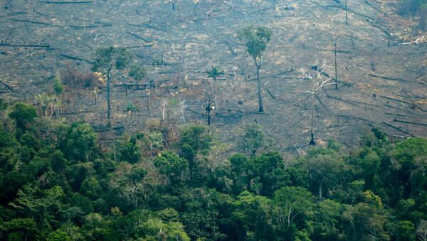Aerial view of burnt areas of the Amazon rainforest, near Boca do Acre, Amazonas state, Brazil, in the Amazon basin, on August 24, 2019. - President Jair Bolsonaro authorized Friday the deployment of Brazil's armed forces to help combat fires raging in the Amazon rainforest, as a growing global outcry over the blazes sparks protests and threatens a huge trade deal. (Photo by Lula SAMPAIO / AFP) - Sputnik Afrique