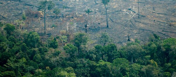Aerial view of burnt areas of the Amazon rainforest, near Boca do Acre, Amazonas state, Brazil, in the Amazon basin, on August 24, 2019. - President Jair Bolsonaro authorized Friday the deployment of Brazil's armed forces to help combat fires raging in the Amazon rainforest, as a growing global outcry over the blazes sparks protests and threatens a huge trade deal. (Photo by Lula SAMPAIO / AFP) - Sputnik Afrique