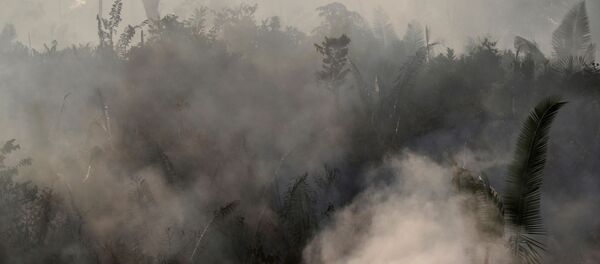 Les incendies en Amazonie - Sputnik Afrique