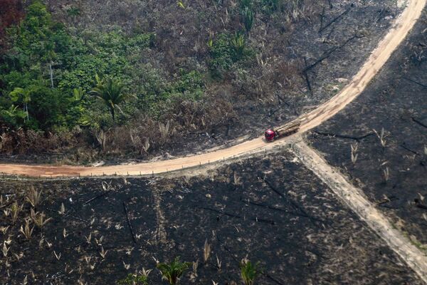 Une terre couverte de cendre: l’Amazonie ravagée par des incendies
 - Sputnik Afrique