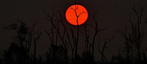 Coucher de soleil - Sputnik Afrique