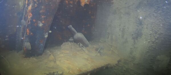 Images inédites d'une épave mythique engloutie dans l'Arctique - Sputnik Afrique