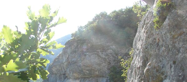 Rocher - Sputnik Afrique