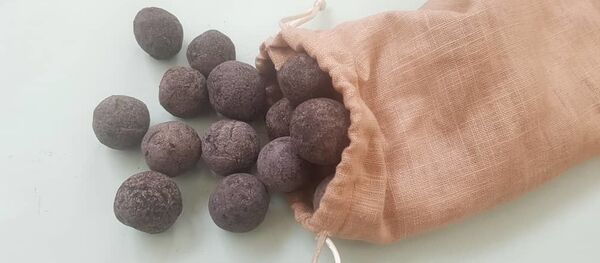 Des Seedballs   - Sputnik Afrique