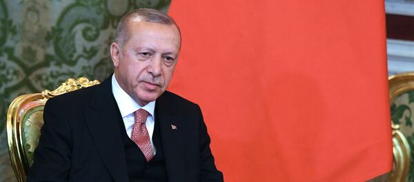 Recep Tayyip Erdogan  - Sputnik Afrique