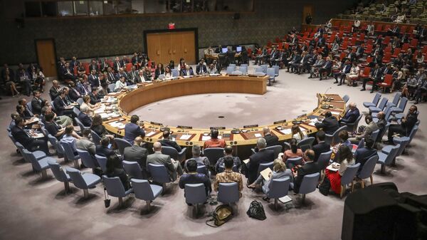 United Nations Security Council  - Sputnik Afrique