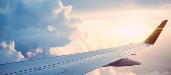 un avion - Sputnik Afrique