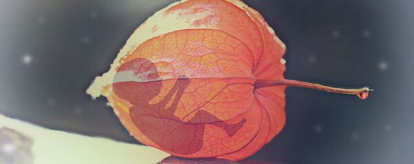 Bébé, image d'illustration - Sputnik Afrique